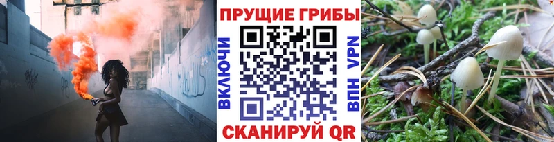 Купить закладки  Яровое  Галлюциногенные грибы Cubensis 